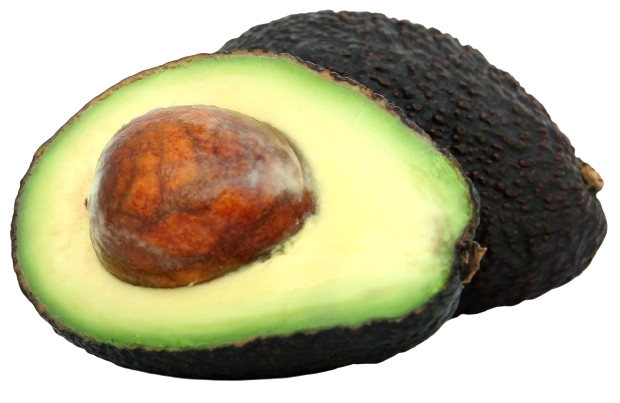 Hass Avocado