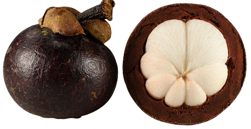 Mangosteen