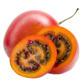 Tree Tomato